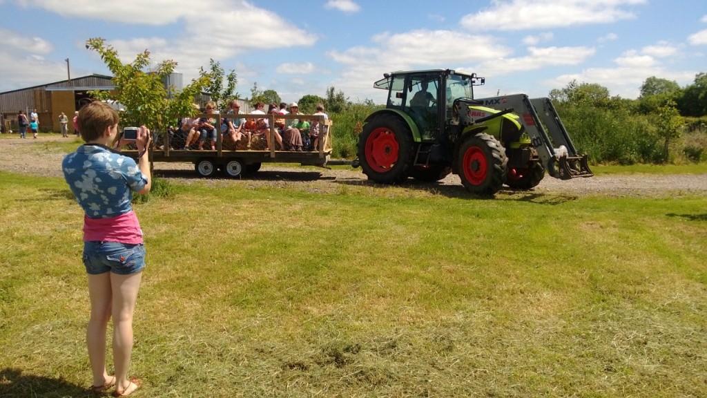 Tractor rides