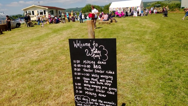 Open Farm Day at Wookey Farm