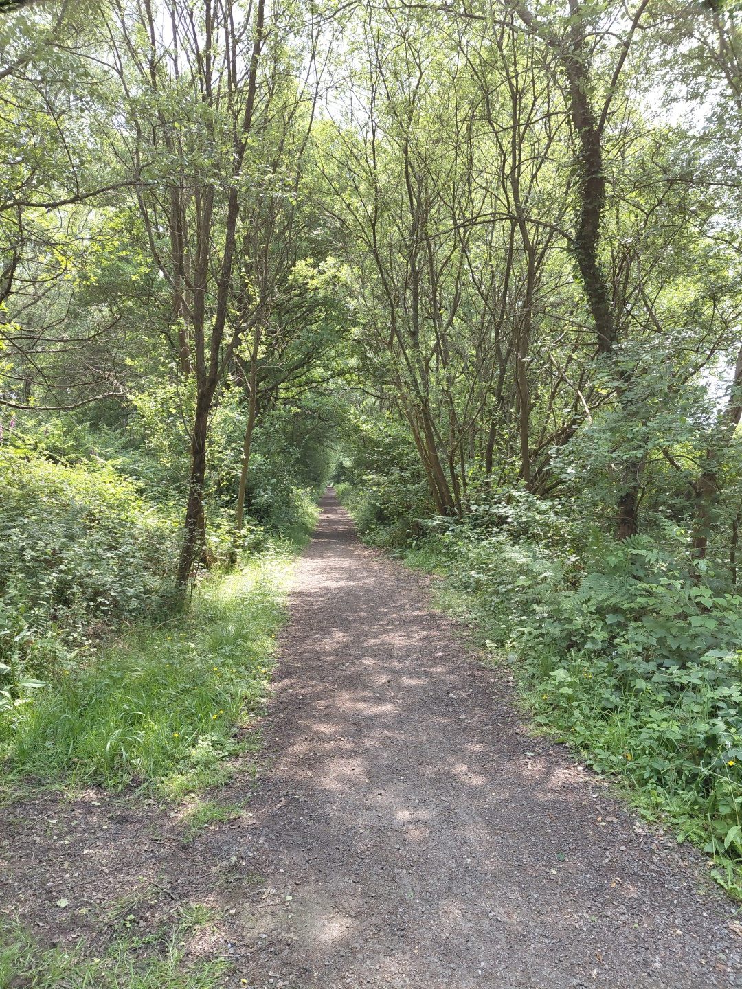 Cycling the Downs Link
